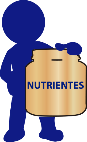 Nutrientes ANL